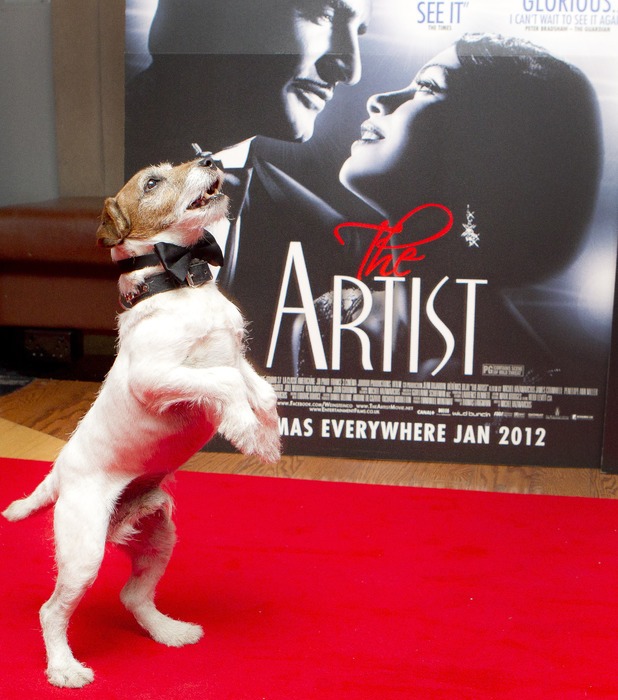 Uggie the dog, star of The Artist (2011) in front of a standee for the film