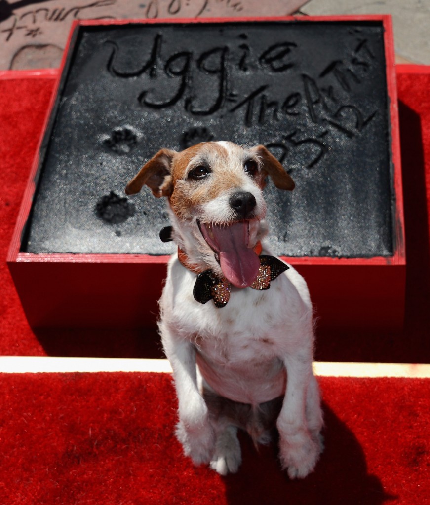 Uggie the dog, star of The Artist (2011), marks his retirement at a ceremony outside Grauman's Chinese Theatre, June 25, 2012 - Brenton Film