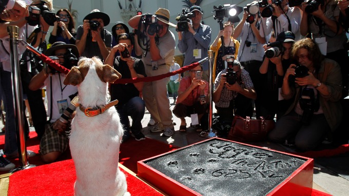 Uggie the dog, star of The Artist (2011), marks his retirement at a ceremony outside Grauman's Chinese Theatre, June 25 2012. Posing for photographers