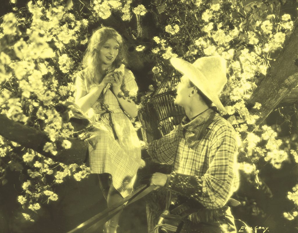 Annette Benson and Brian Aherne in Shooting Stars (1928), yellow