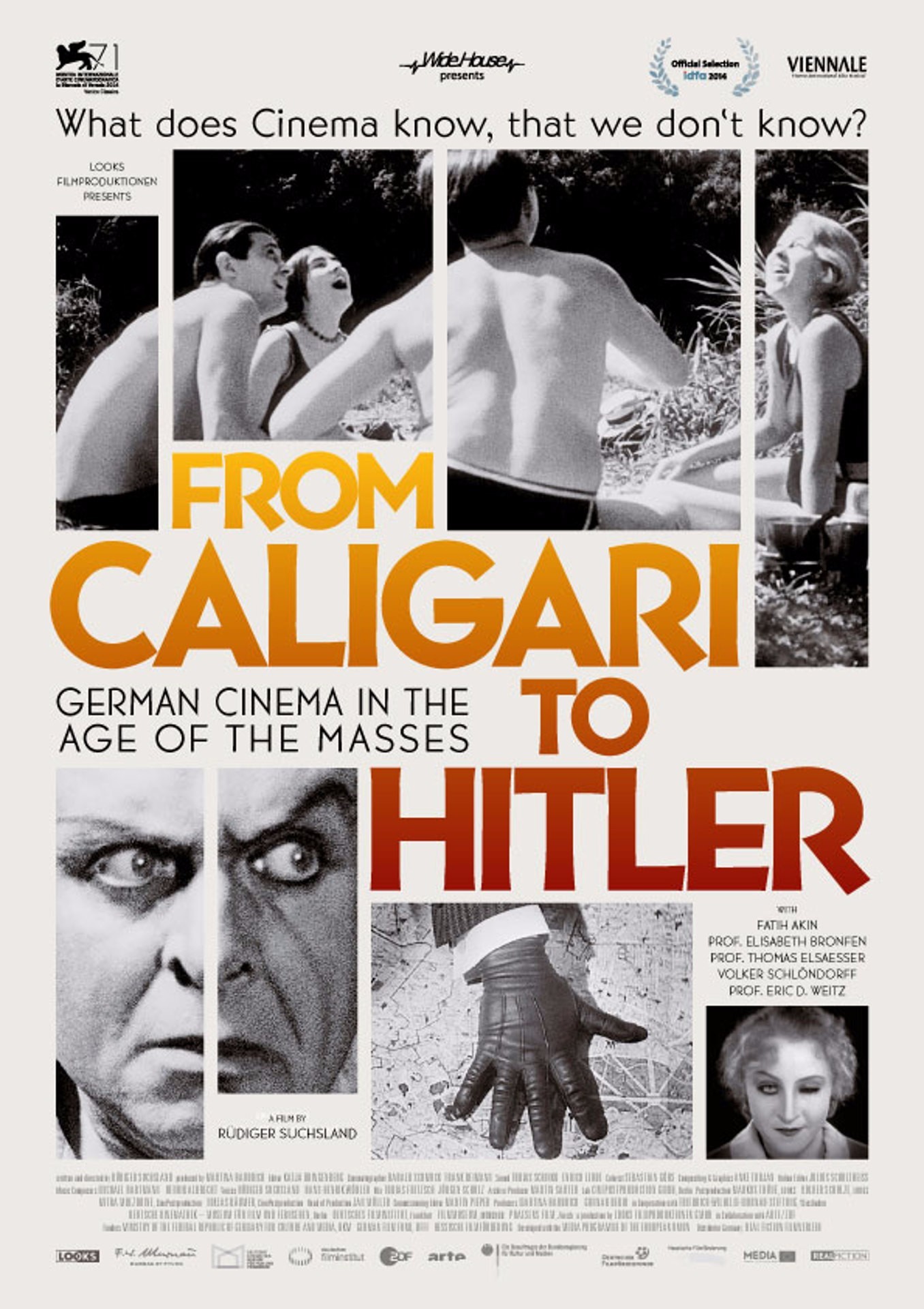 From Caligari to Hitler: German Cinema in the Age of the Masses (2014) poster